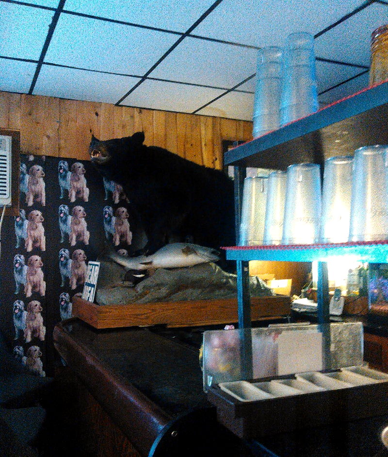 Oscar & Joeys Roadhouse (Chandlers) - From Web Listing For Oscar And Joeys (newer photo)